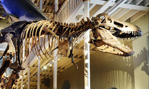 National Museum of Scotland